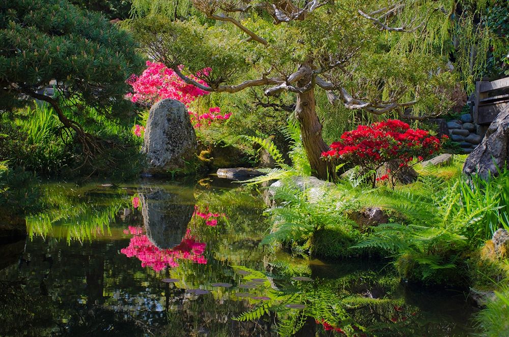 Japanese Tea Garden-Golden Gate Park-San Francisco-California-USA